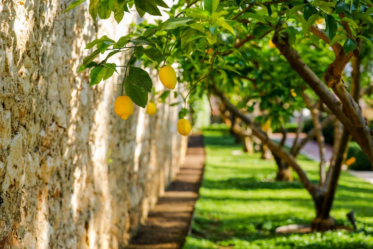 Hotel Lemongarden - Adults Only Sutivan Eksteriør bilde
